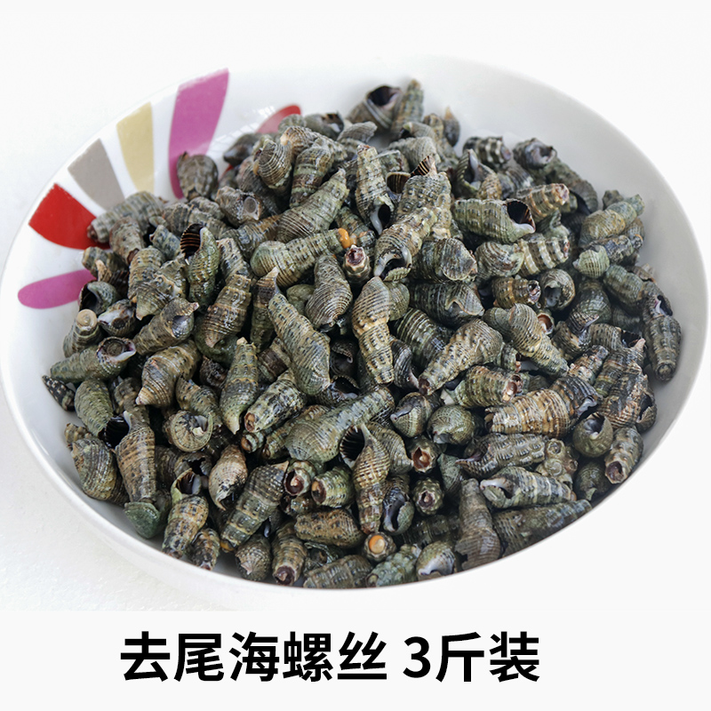 去尾尖螺鲜活新鲜海捕海螺丝