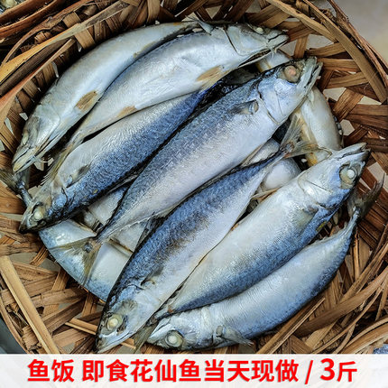福建闽南特产潮汕打冷鱼饭新鲜花仙鱼饭花娇鱼饭鲐鱼饭即食海鱼饭