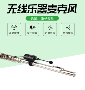 DT5笛子专用无线麦克风长笛箫葫芦丝拾音器 爱尚达 消费电子