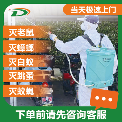 灭蟑螂蟑螂典雅虫控上门灭蟑螂