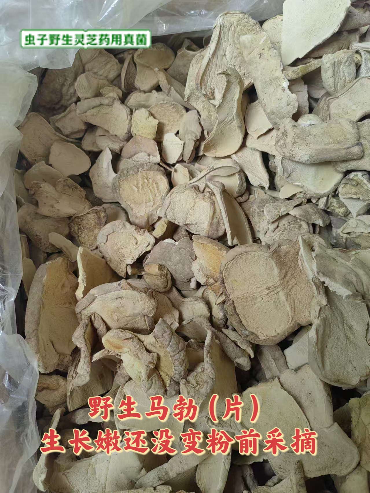 野生马勃菌 嫩马勃 白马勃 马勃片没有喷粉前采摘的马勃500克