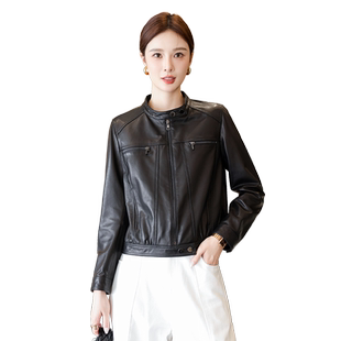 立领小皮衣真皮女短款秋冬季新款修身个性海宁头层绵羊皮夹克外套