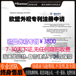 欧盟美国日本英国专利申请PCT 检索外观发明实用新型注册版权登记