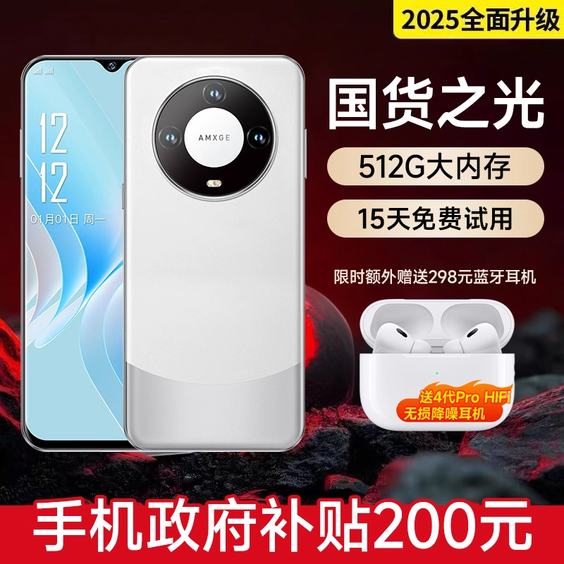 【政府消费补贴】全网通512G手机