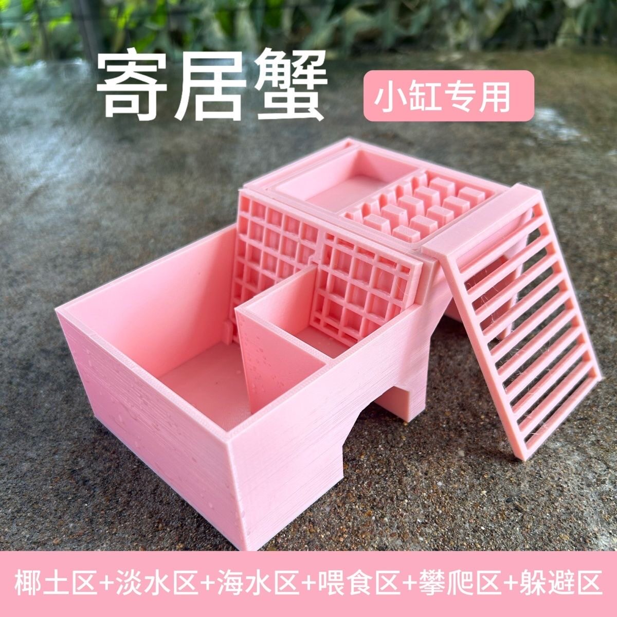 寄居蟹专用打印泡澡盆双格淡海水透明防溺水可拆卸爬宠洗澡盆