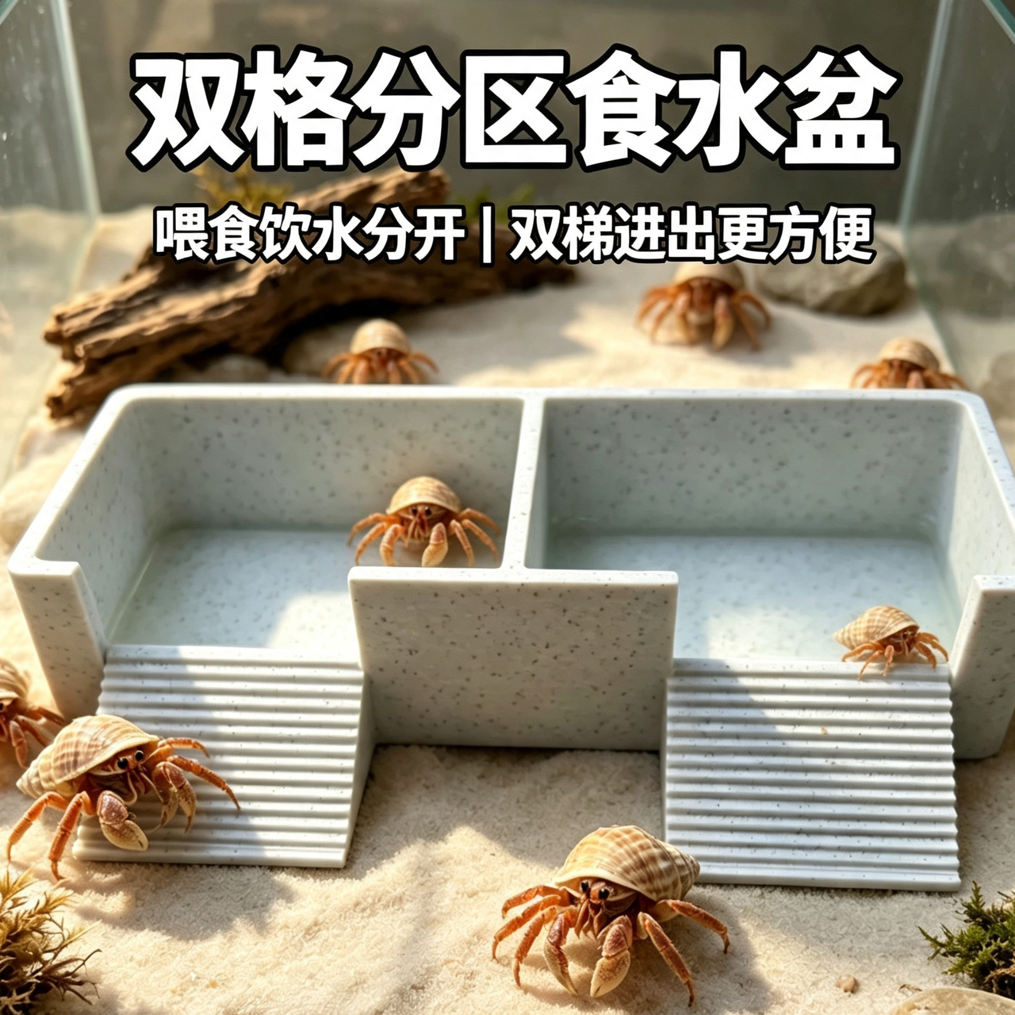 寄居蟹用品3d打印水盆二合一多用途饲料盆饲养盆爬宠食盆
