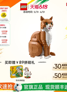 乐高官方旗舰店正品21376橙色的猫橘猫拼搭积木玩具摆件生日礼物