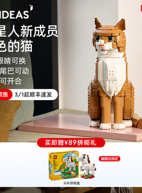 【新品预售】乐高官方旗舰店21376橙色的猫橘猫积木玩具礼物摆件
