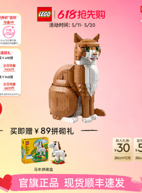 乐高官方旗舰店正品21376橙色的猫橘猫拼搭积木玩具摆件生日礼物