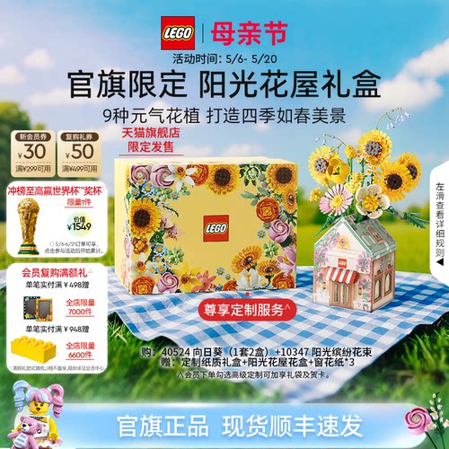 乐高阳光花屋礼盒永生花积木礼物