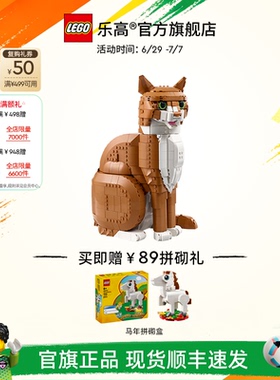 乐高官方旗舰店正品21376橙色的猫橘猫拼搭积木玩具摆件生日礼物