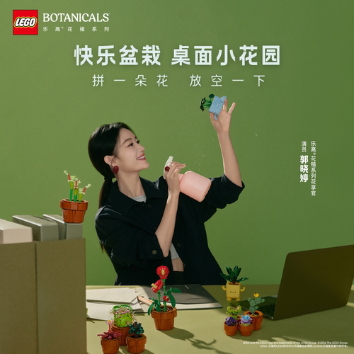 乐高11506摇滚盆栽积木