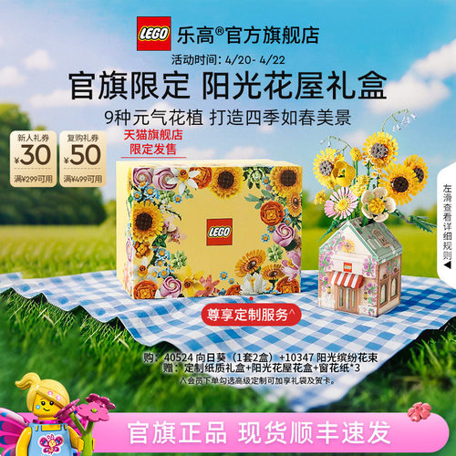 乐高阳光花屋礼盒永生花积木礼物