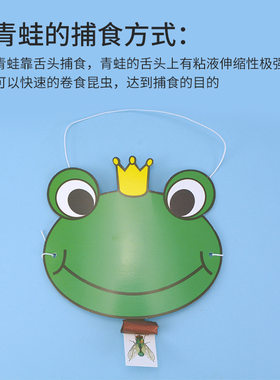 科技小制作青蛙的舌头幼儿园教具模拟动物捕食steam科学实验
