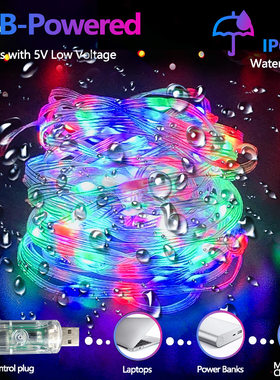 幻彩皮线灯蓝牙拾音律动点控跑马led灯串圣诞氛围彩灯20米彩盒