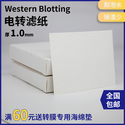 ULTRAK湿转半干转电转厚wb滤纸实验Westernblot专用耐泡水掉渣少