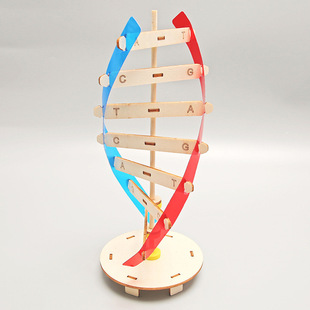 DNA双螺旋结构模型科技小制作手工diy人体基因生物科学实验器材料