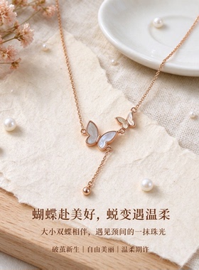 【蝶赴美好】轻奢项链女简约时尚锁骨链精致配饰礼品小众清新气质