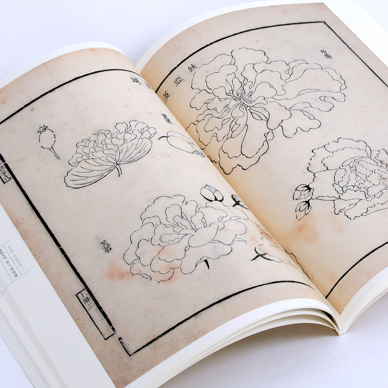 芥子园画谱康熙原版花鸟卷草虫花卉谱上下册两本花类鸟类昆虫飞禽画谱临摹技法教程彩色水墨芥子园画传高清版国画入门教材