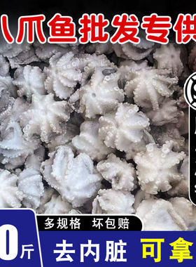 小八爪鱼新鲜冷冻整箱