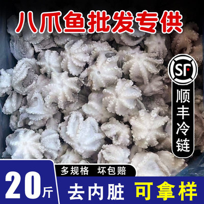 小八爪鱼新鲜冷冻整箱
