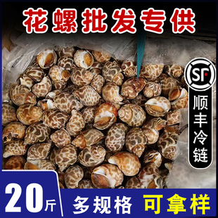 花螺商用鲜活特大捞汁海鲜餐饮生鲜20斤整箱小海螺冷冻特大花螺