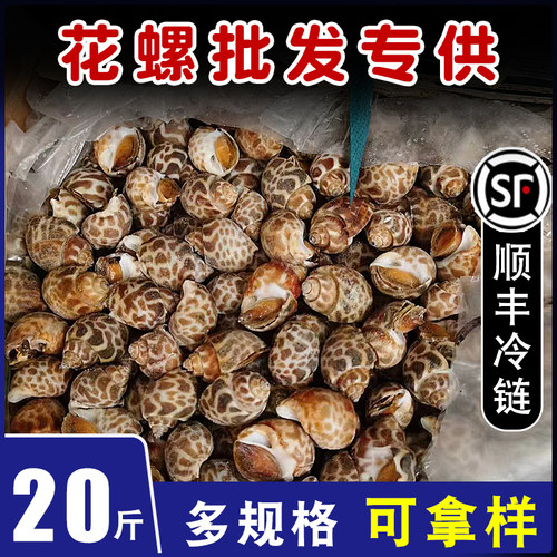 花螺商用鲜活特大捞汁海鲜餐饮生鲜20斤整箱小海螺冷冻特大花螺