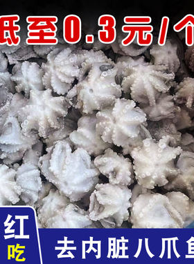 新鲜八爪鱼蚝蛋烧章鱼丸子迷你
