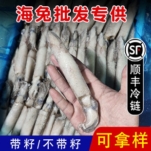海兔子满籽笔管鱼新鲜冷冻章鱼笔管蛸鲜活海捕餐饮饭店商用小笔管