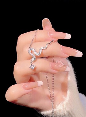 轻奢气质灵蛇起舞锆石钛钢项链