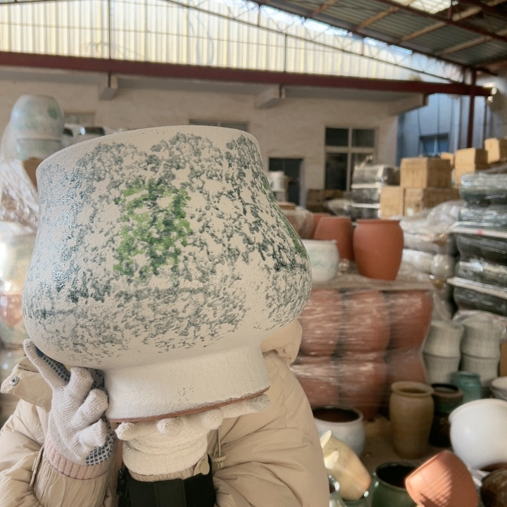 高25口22,鲜花速递/花卉仿真/绿植园艺,花盆,淘宝优惠券,粉丝福利购,淘宝优惠卷