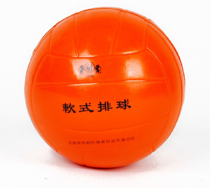 Ballon de volley-ball - Ref 2010963 Image 5