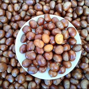 2025年江西高山野生新鲜毛栗子糖现炒熟迁西小油锥即食土板圆栗子