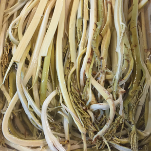 粽树花500g 粽苞笋棕蕨 浸泡不涩 泰顺特产一店 绿色健康新鲜粽包