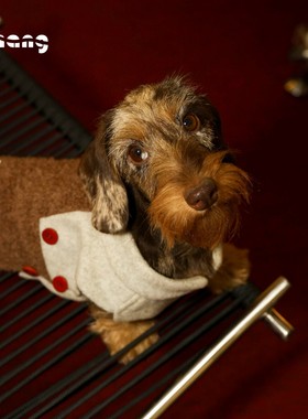 Chang|教授马甲|Professor Vest|腊肠犬衣服