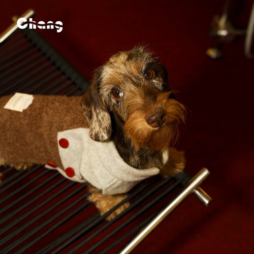 Chang|教授马甲|Professor Vest|腊肠犬衣服