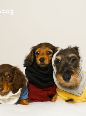 Chang|妈手打底衫2.0|