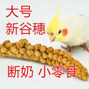 新货谷穗带壳黄谷子玄凤虎皮饲料鸟粮文鸟鹦鹉鸟食仓鼠松鼠超大号