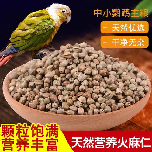 鹦鹉螺小颗粒麻子鸟粮一站式购买