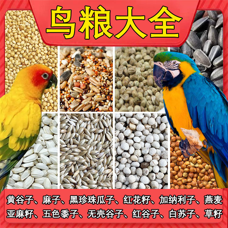 鸟粮饲料鸟食麻子玄凤鹦鹉专用粮虎皮牡丹小型中型混合粮鸽子油葵