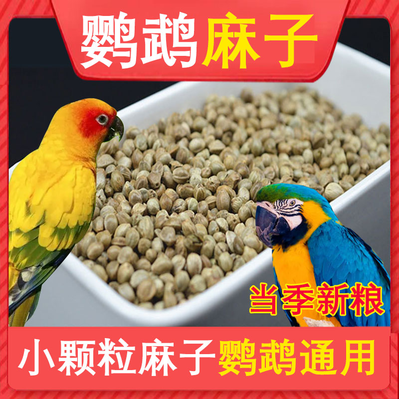 鹦鹉粮小颗粒麻子油葵红花籽谷子