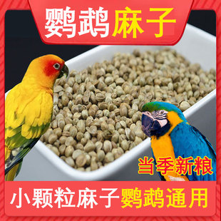 麻子鸟粮火麻仁火麻籽鸽粮麻仁籽火麻子鸟食小颗粒鹦鹉仓鼠松鼠粮