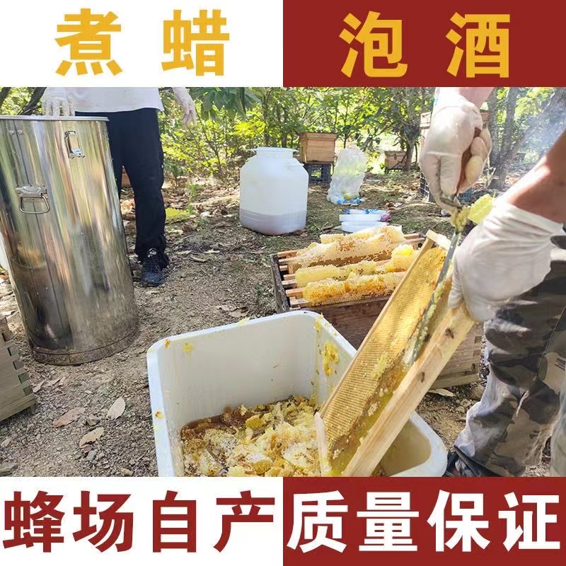 野蜂诱蜂蜜巢渣土中蜂老巢脾蜜蜜渣蜂巢诱蜂蜂蜂巣渣可食用蜂蜡-封面