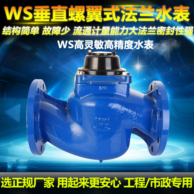 新品 WS垂直螺翼式水表 大口径防冻高灵敏高精度可拆式法兰水表