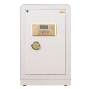 66JZ A10 甬康达保险柜保险箱家用办公3C认证防盗精致系列FDG