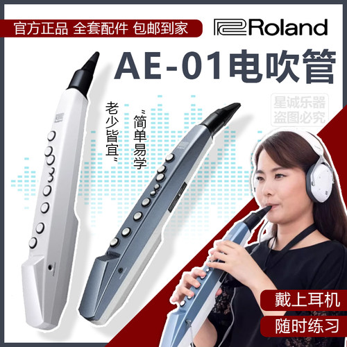 ROLAND罗兰电吹管初学者入门套装