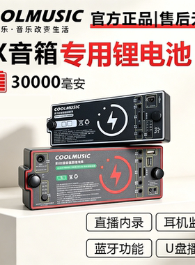 Roland罗兰EX音箱 专用乐器锂电池RSB系列蓝牙直播内录移动电源