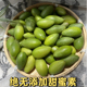 新鲜水果当季 现摘广东特产正宗潮汕金灶青橄榄果生吃非灵峰甜橄榄