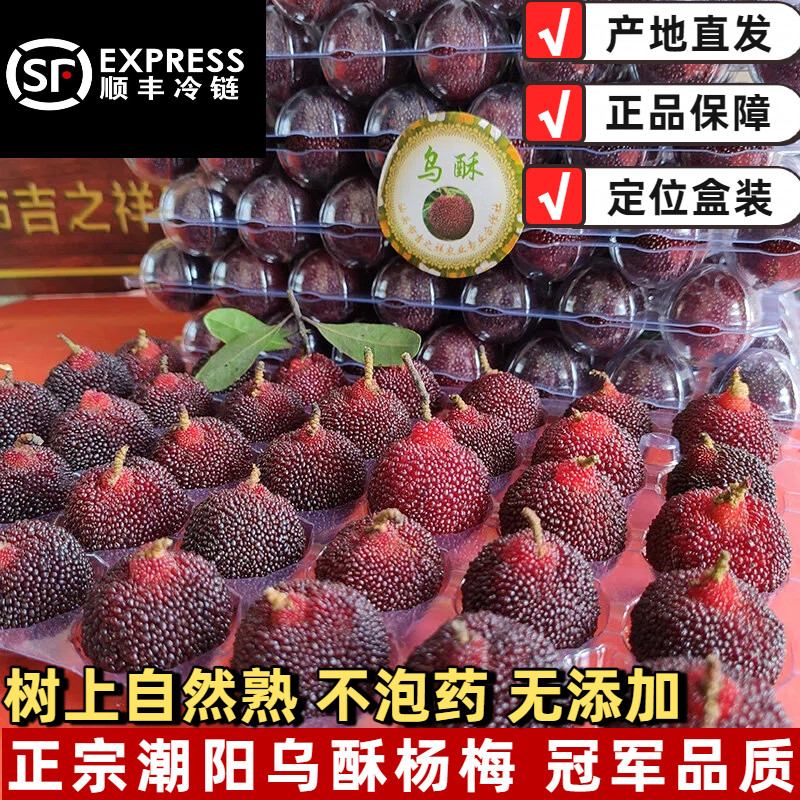 正宗潮阳金灶乌酥杨梅乌苏潮汕新鲜孕妇水果现摘现发礼盒送礼顺丰