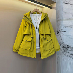 收腰显瘦棉服大码 简约百搭韩版 女装 款 休闲上衣 冬季 加肥连帽中长款